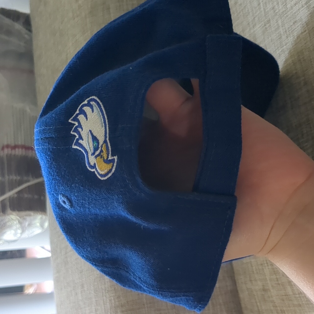 FGCU Florida Gulf Coast University Ball Cap - Picture 3 of 5
